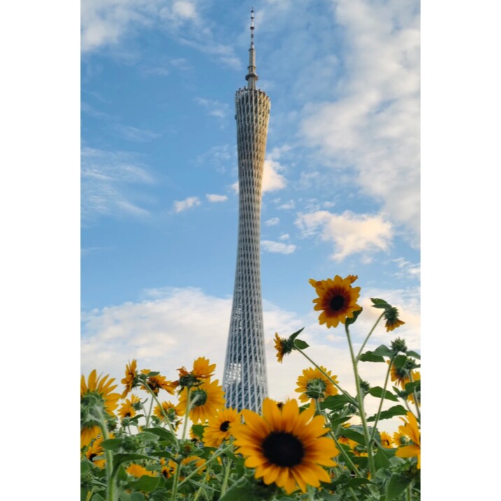 广深游花城广场金色海岸