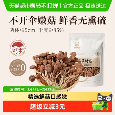 裕庆堂不开伞蘑菇菌菇广昌茶树菇