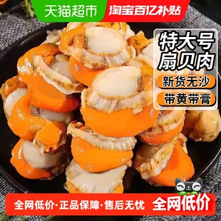 云储生活扇贝肉新鲜冷冻特大号带黄带膏商用日照海鲜水产鲜活红贝