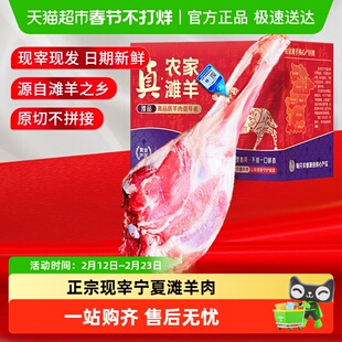 正官和散养宁夏滩羊肉新鲜现杀盐池羔羊羊前腿整只年货送礼
