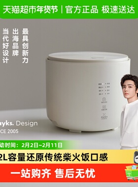 olayks立时迷你电饭煲1-2-3人家用2升小型家用电饭锅mini多用