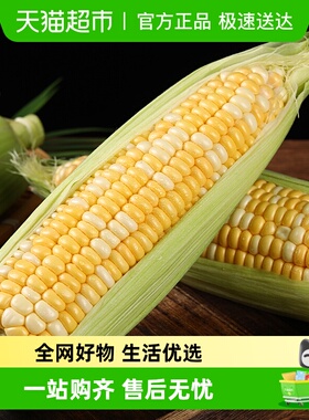 【详情页补贴折上折】顺丰云南新鲜甜金银水果玉米棒子包谷新鲜蔬