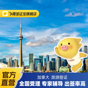 加拿大·旅游签证·移民局网站·【飞猪官方直营】十年旅游签证多次探亲商务全国受理可简化加急