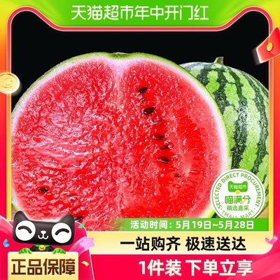 【喵满分】麒麟西瓜3-4斤/5-7斤装应当季水果现摘沙瓤薄皮有籽