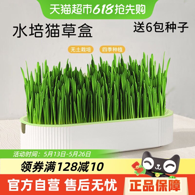 è������С����������������ˮ�໯ë��è���������ֺ���è����ʳ