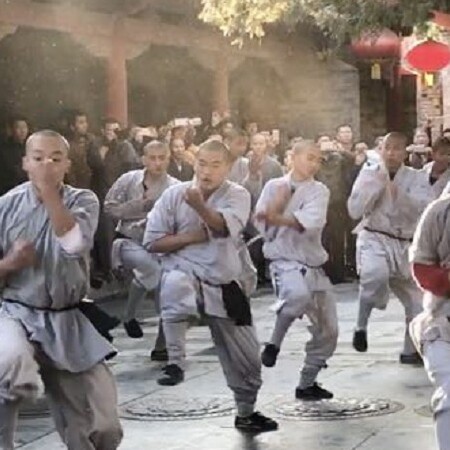 少林寺+塔林+武术表演+嵩阳书院包车一日游【美食攻略+严选司机】