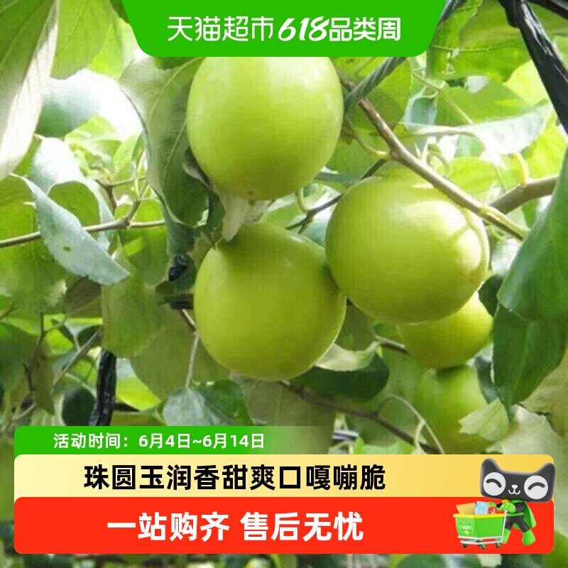 【精美水果礼盒  顺丰包邮】闽南贵妃脆蜜枣礼盒装4.5斤当季整箱