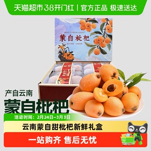 云南蒙自甜枇杷新鲜水果当季大果高山现摘礼盒装琵琶水果