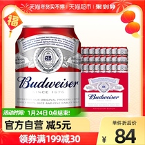 15大罐装熟啤酒整箱官方Budweiser550ml百威啤酒整箱经典醇正