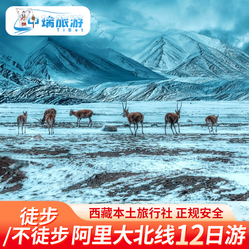 西藏旅游阿里大北线12天11晚塔尔钦徒步珠峰古格王朝含酒店车费