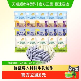 松酪内蒙古高钙鲜烤乳奶条多口味A2型酪蛋白蓝莓20小包儿童小零食