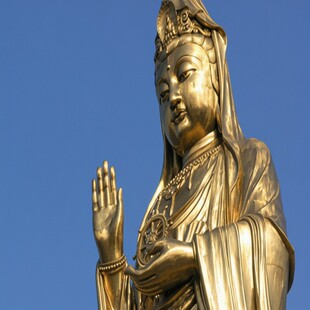 甄选游-普陀山+溪口-滕头旅游景区5日4晚跟团游