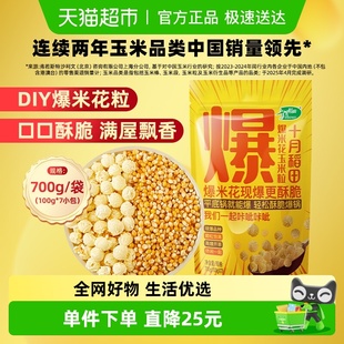 十月稻田爆米花玉米粒自制家用东北杂粮爆玉米粒原料 次日达