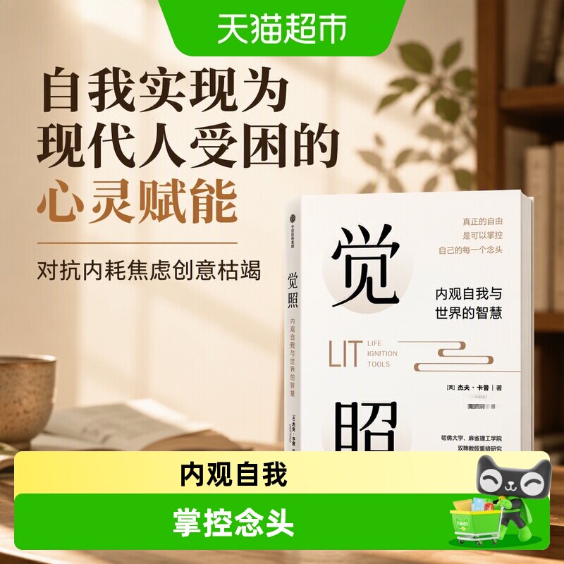 觉照自我实现励志与成功图片