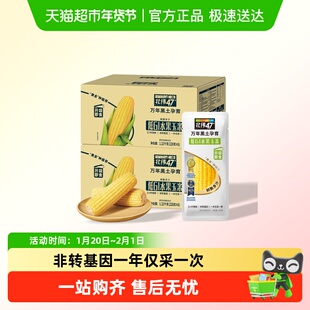 北纬47度黄糯白糯鲜食玉米东北黑龙江甜玉米真空包装苞米棒
