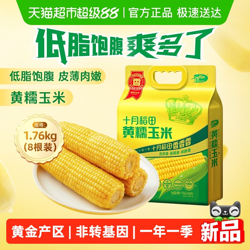 十月稻田黃糯玉米東北粘苞米雜糧粗糧低脂早餐可微波
