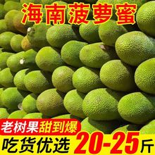 海南菠萝蜜新鲜一整个三亚特产红黄心菠萝蜜黄肉当季水果整箱香甜