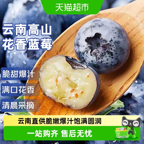 京运达云南高山蓝莓鲜嫩爆汁