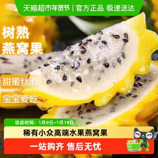 麒麟燕窝果云南黄金冰糖火龙果新鲜现摘应季整箱水果