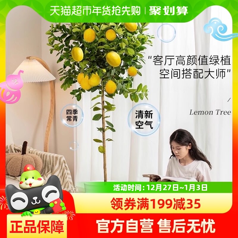 ��ˮ���������Կ�����ֲ��������ֲ������ȩ��̨�ļ��������ܹ�»