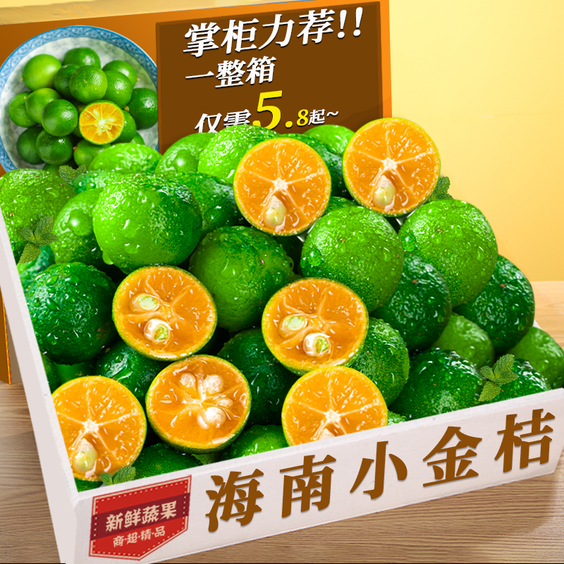海南小金桔5斤新鲜青金桔柠檬水果奶茶专用金橘整箱当季小青柠桔