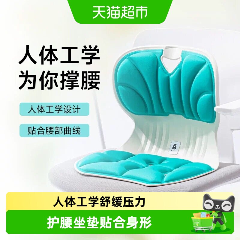 BKT人体工学护腰坐垫腰部支撑图片