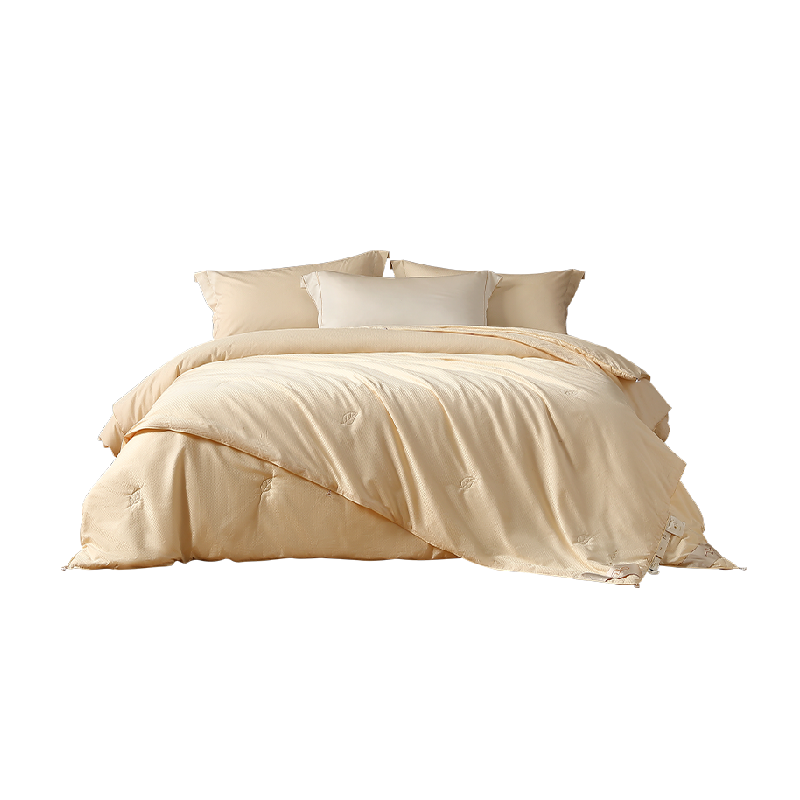 水星家纺60支长绒棉轻奢桑蚕丝被秋冬二合一子母被芯年货青桑有机,床上用品,蚕丝被,淘宝优惠券,粉丝福利购,淘宝优惠卷