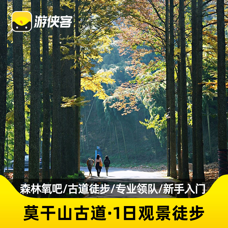 浙江莫干山徒步一日跟团游上海往返 行走森林氧吧 浙江小庐山