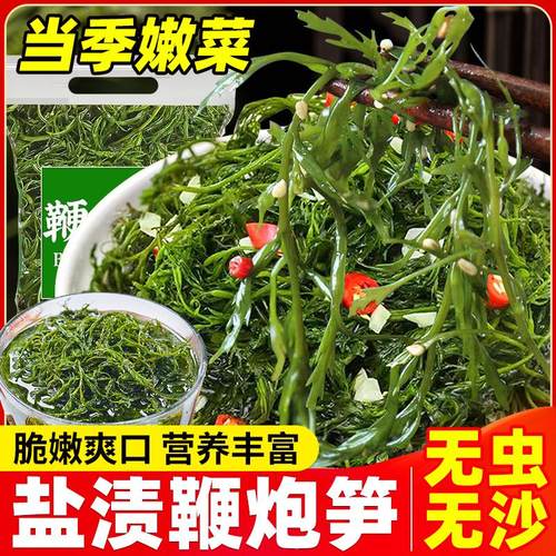 鞭炮笋新鲜海草藻菜海笋马尾藻羊栖菜鞭泡笋盐渍火锅食材凉拌菜