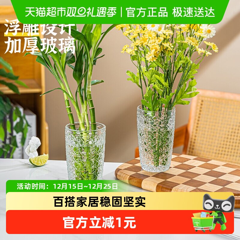 ins风浮雕玻璃小花瓶水培绿植