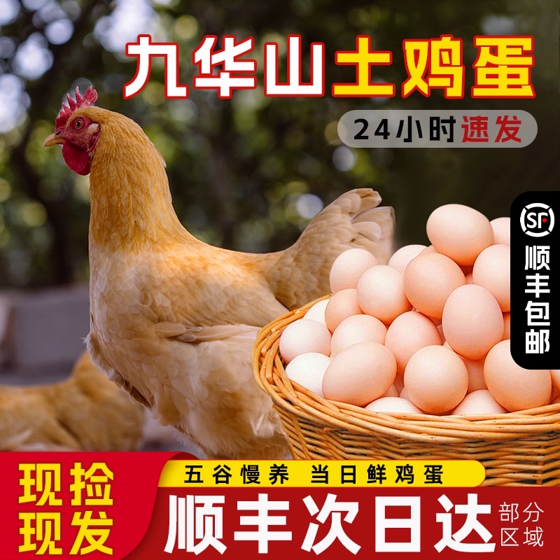 顺丰包邮100枚九华山正宗散养土鸡蛋笨鸡蛋柴鸡蛋月子蛋40枚