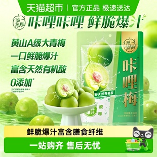溜溜梅优选装 脆青梅青口梅脆梅休闲零食话梅办公小吃蜜饯独立包装