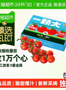 臻选 一颗大臻选番茄小串精品礼盒装尝鲜款酸甜爆汁新鲜采摘650g