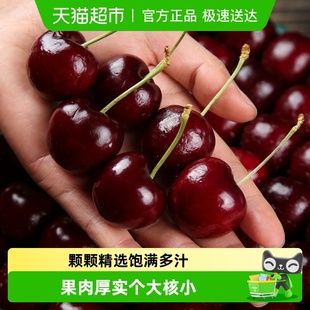 智利进口车厘子新鲜水果应当季 大樱桃234J整箱脆甜多汁T