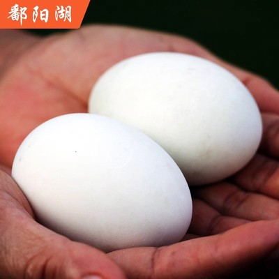 鄱阳湖土鸭蛋新鲜直供正宗农家散养鸭蛋青皮白皮整箱批发美味营养