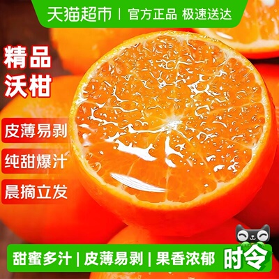 京运达精品沃柑