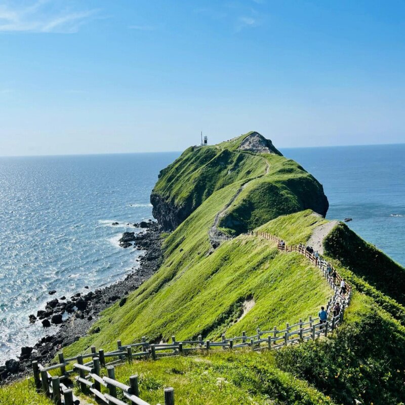 日本北海道札幌中文日游纯玩余市小樽情书同款打卡巴士一日游