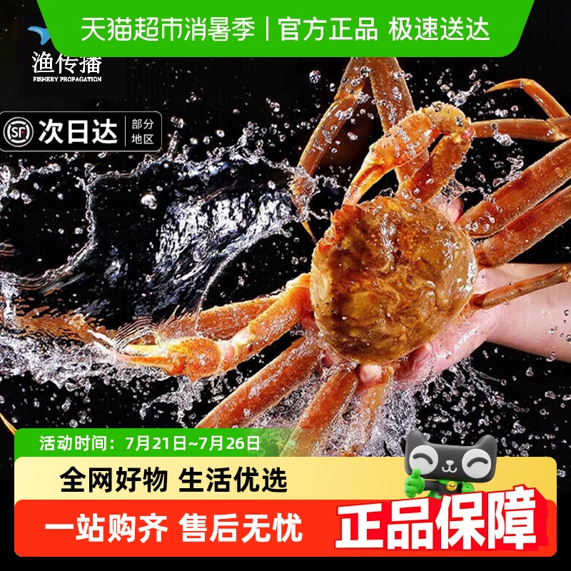 渔传播俄罗斯鲜活松叶蟹板蟹