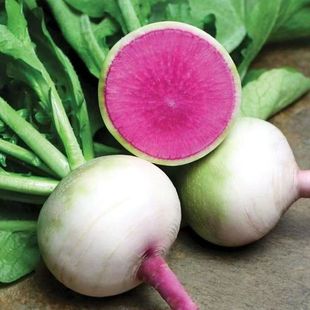 心里美萝卜红心西瓜萝卜沙拉菜生吃凉拌新鲜脆甜水大泡菜水果萝卜