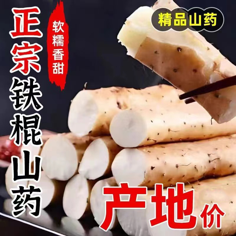 正宗河北垆土铁棍山药5斤小白嘴山药新鲜营养美味宝宝辅食原生态