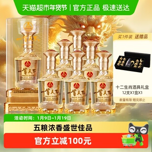 五粮液股份出品 一尊天下盛世佳品 52度浓香型白酒  整箱含礼袋