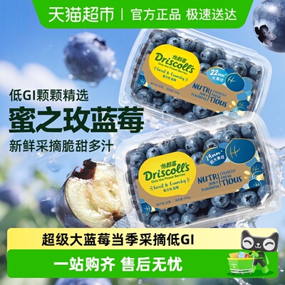 怡颗莓云南宝石蓝莓