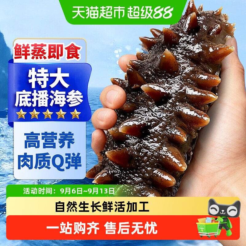 顺丰上门海参即食大连海参辽参礼盒刺参鲜活海渗独立包装开袋即食