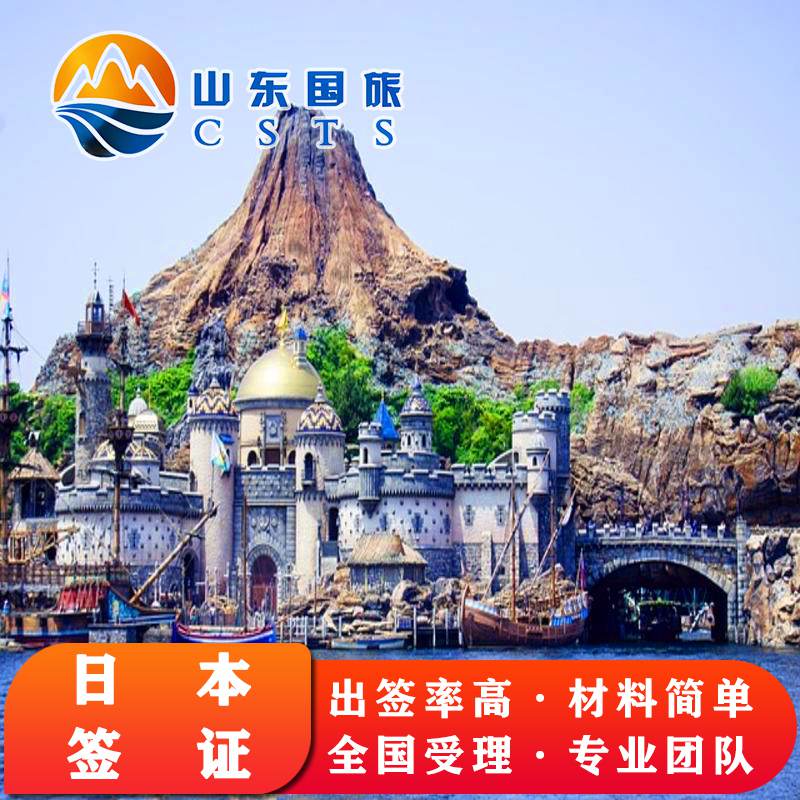 专业团队 安全放心 全国受理 出签率高