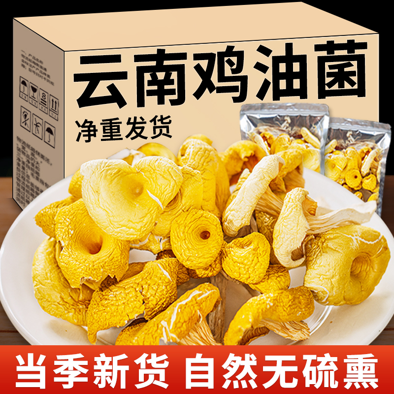 鸡油菌干货云南土特产菌菇包山珍蘑菇鸡油菌煲汤材料黄丝菌500g