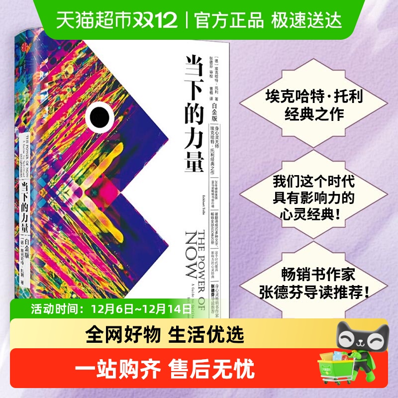 当下的力量新版白金版