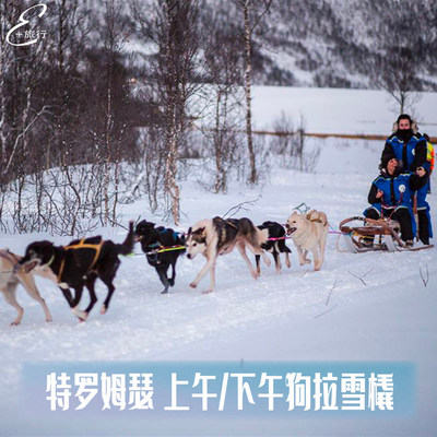 挪威旅游 特罗姆瑟狗拉雪橇 北欧旅行特色体验萨米文化哈士奇雪橇