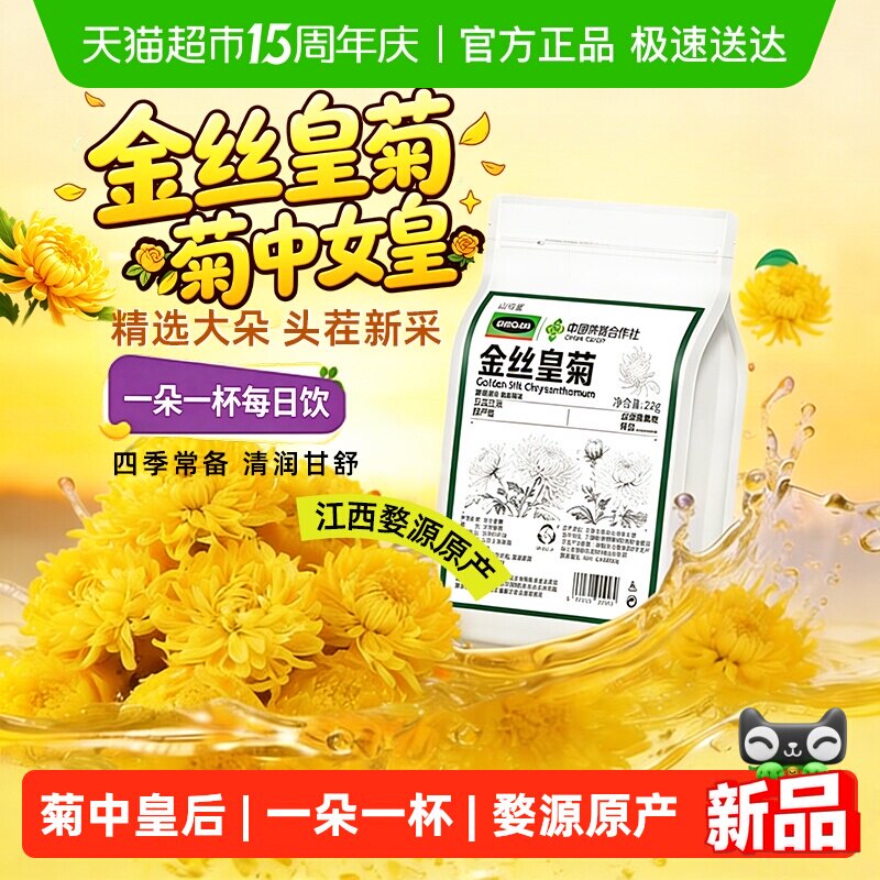 金丝皇菊黄菊大朵菊花茶久泡不散贡菊胎菊江西原产新货花草养生茶