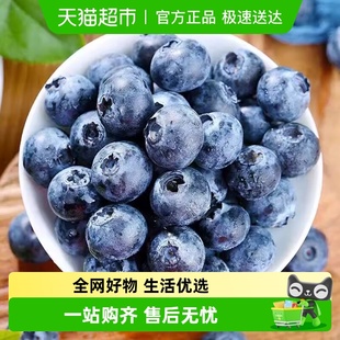 云南高山蓝莓鲜果当季 新鲜水果现摘整箱L25脆甜花香蓝莓