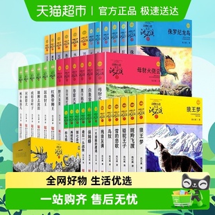 狼王梦沈石溪动物小说全集品藏升级版 12岁 全套36册最后一头战象9